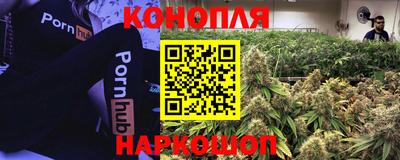 гидра Тула